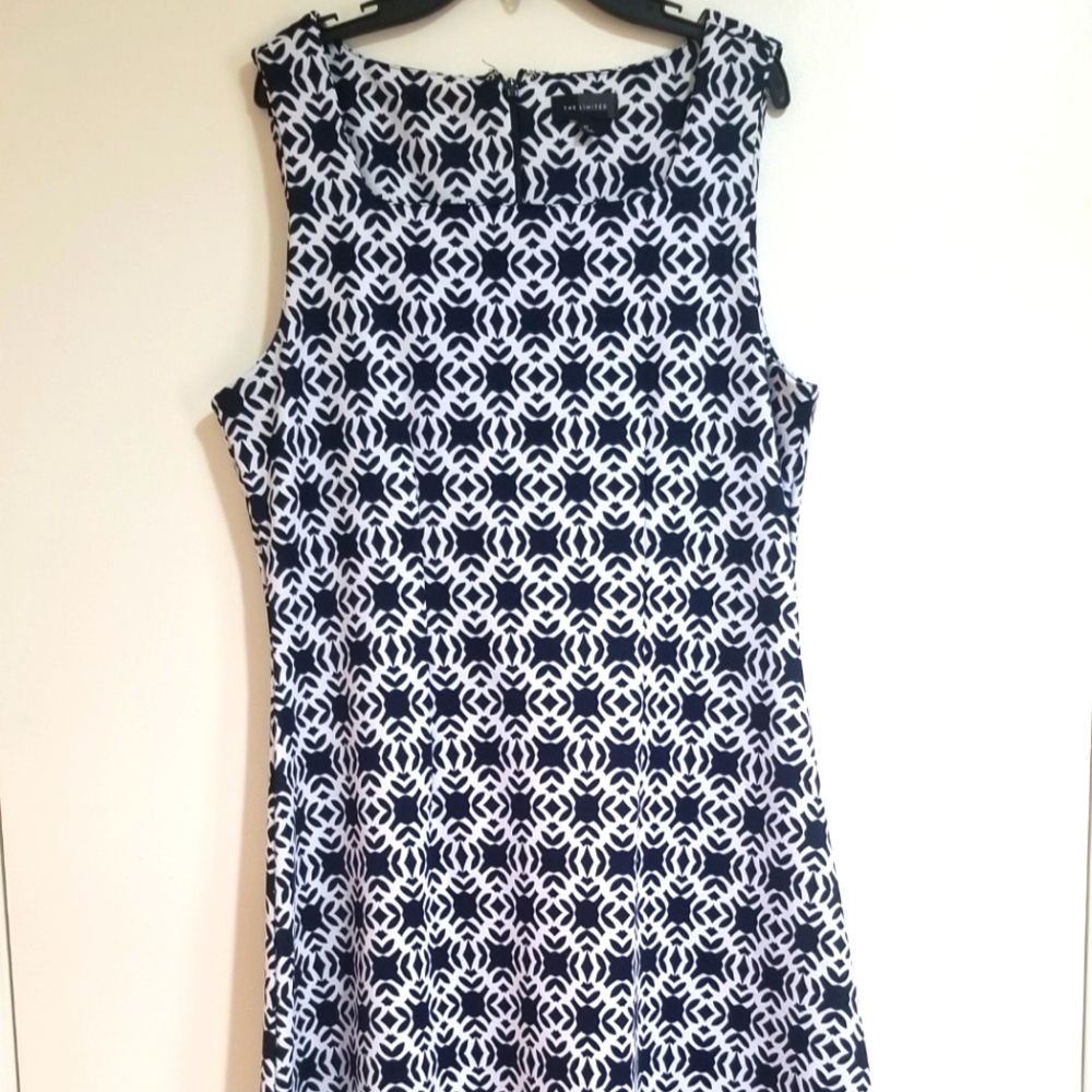 The Limited Navy and White Midi Dress